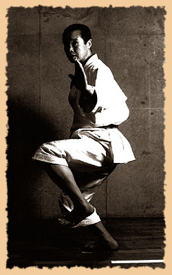 Sensei Akihito Isaka, 8 Dan (former JKA Technical Director)